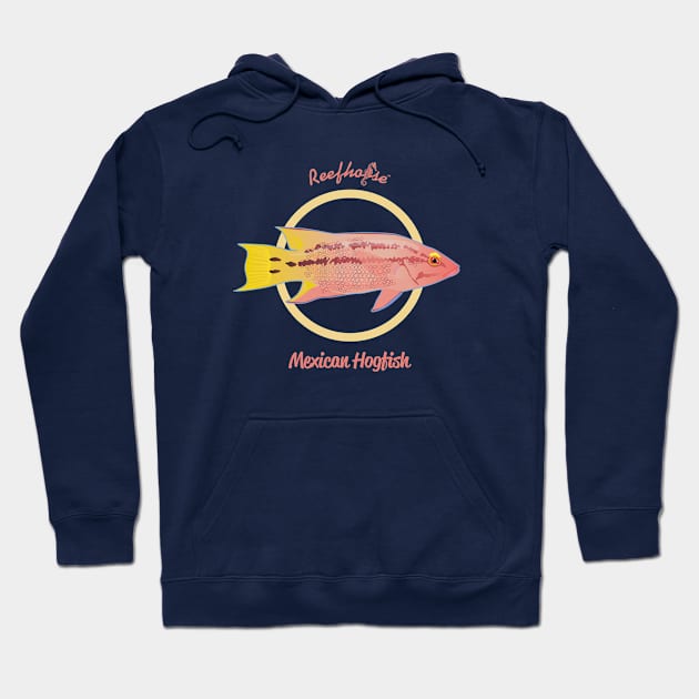 Mexican Hogfish Hoodie by Reefhorse